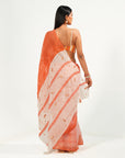 Seabed Saree