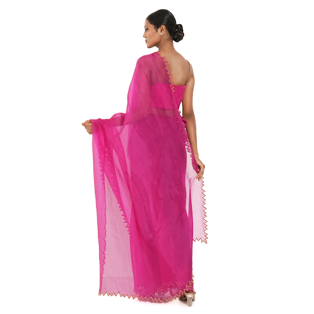 Seabed Organza Saree